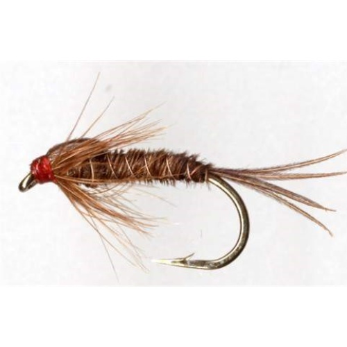 Pheasant Tail Nymph