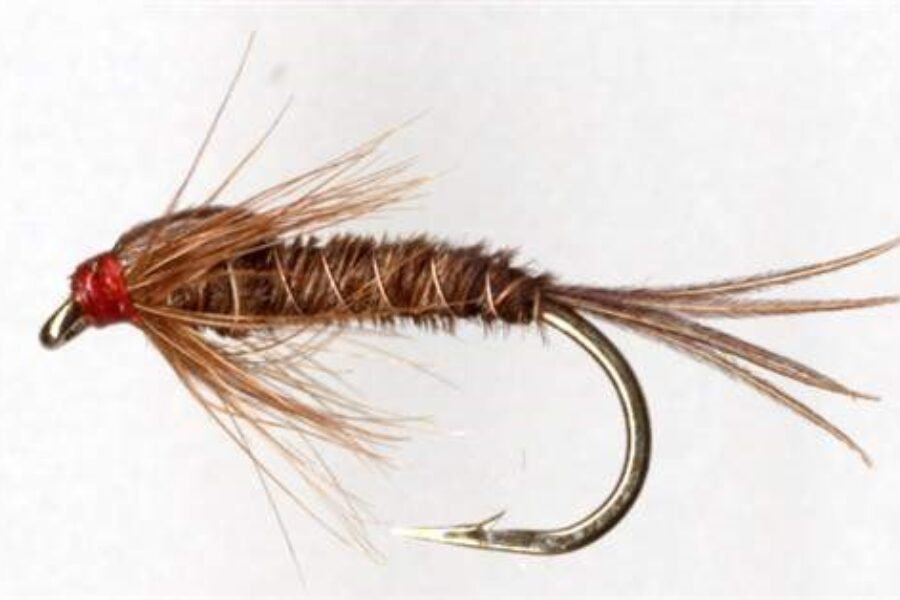 Pheasant Tail Nymph