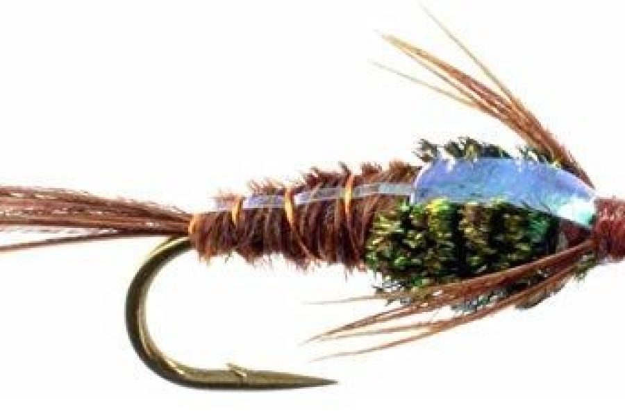 Bead Head Flashback Pheasant Tail Nymph