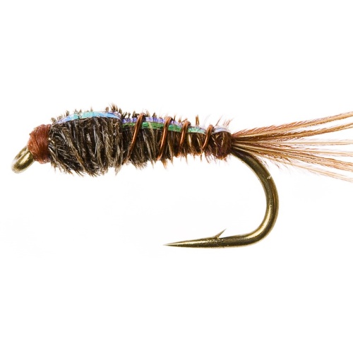 Pheasant Tail Nymph, Flashback