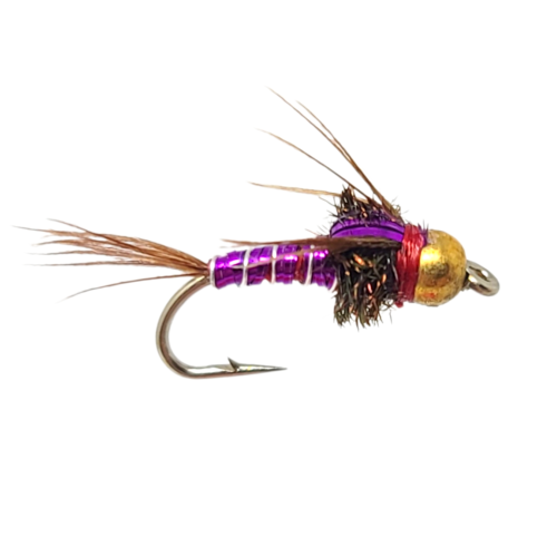 Pheasant Tail, Purple