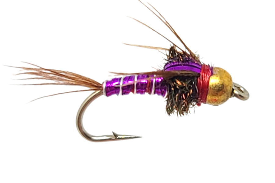 Pheasant Tail Purple