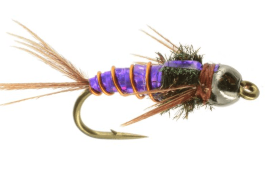 Pheasant Tail Purple Ice scud fly