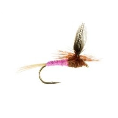 Pink Albert Parachute Dry MayFly