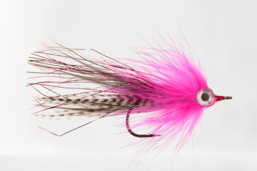 Pink Ghost Pike Fly