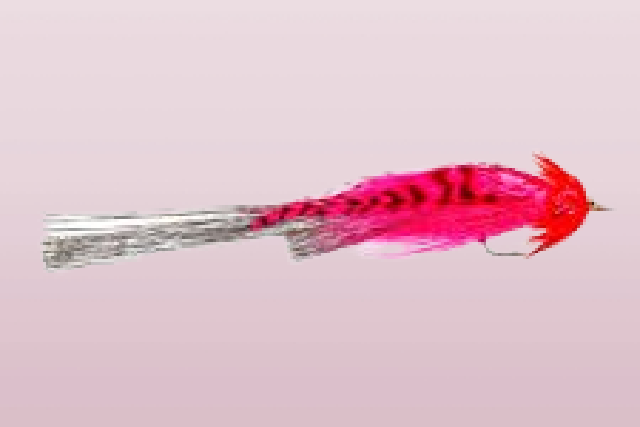 Pink Whistler Pike Fly