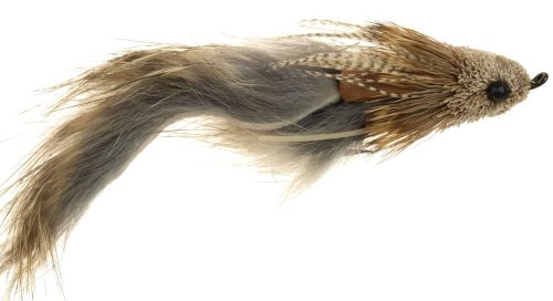 Pouch Mouse Fly