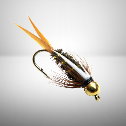 Prince Nymph, Tungsten Bead Head