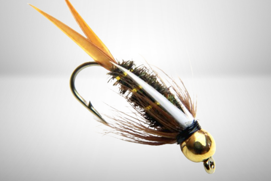 Prince Nymph, Tungsten Bead Head