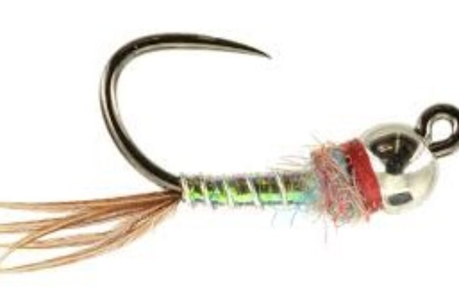 Rainbow Warrior Tungsten Bead fly