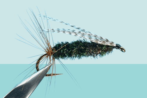 Sheep Creek Special fly