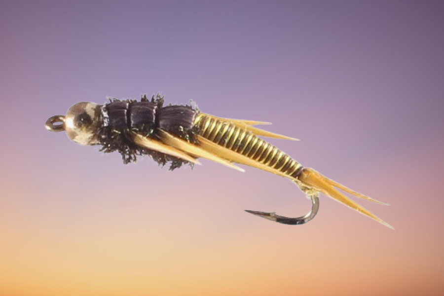 Stonefly Nymph, Wired, Bead Head, Golden fly