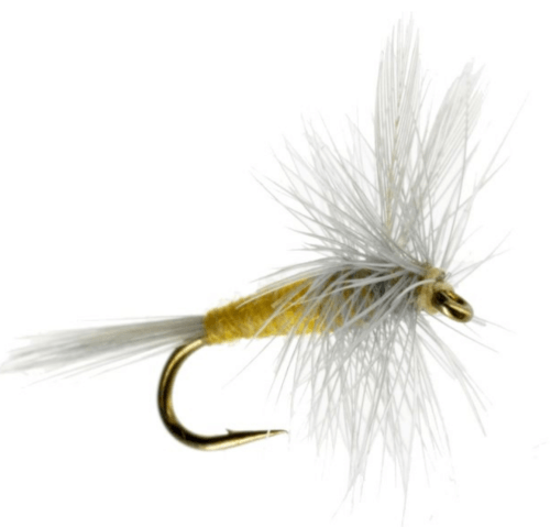 Sulphur Dun Yellow fly