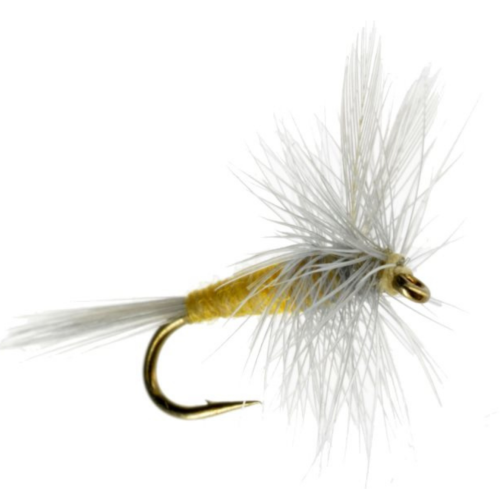 Sulphur Dun Yellow fly