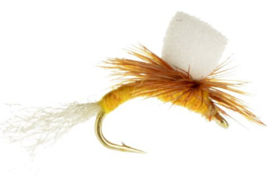 Sulphur Foam Para Emerger