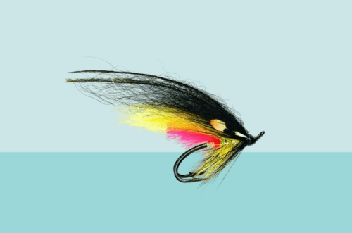 Temple Dog black and yellow