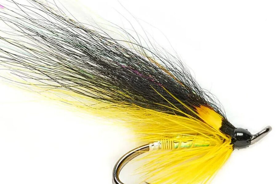 Tosh Black and Yellow Salmon Fly