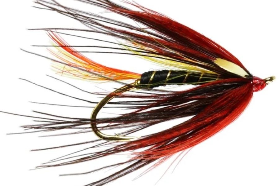 Tyne Toucan Salmon Fly