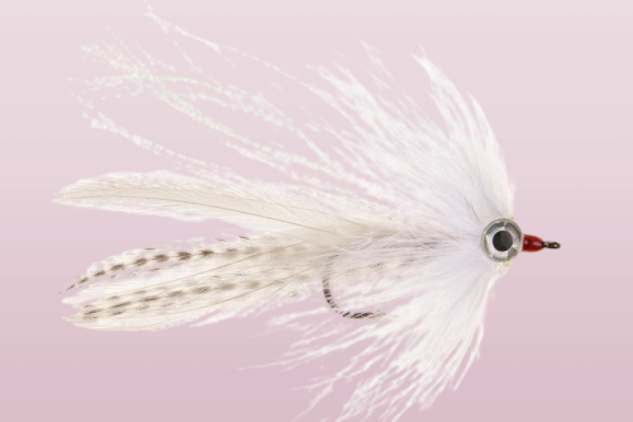 White Ghost Pike Fly