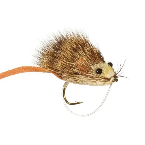 Whit's Mouserat Mouse Fly