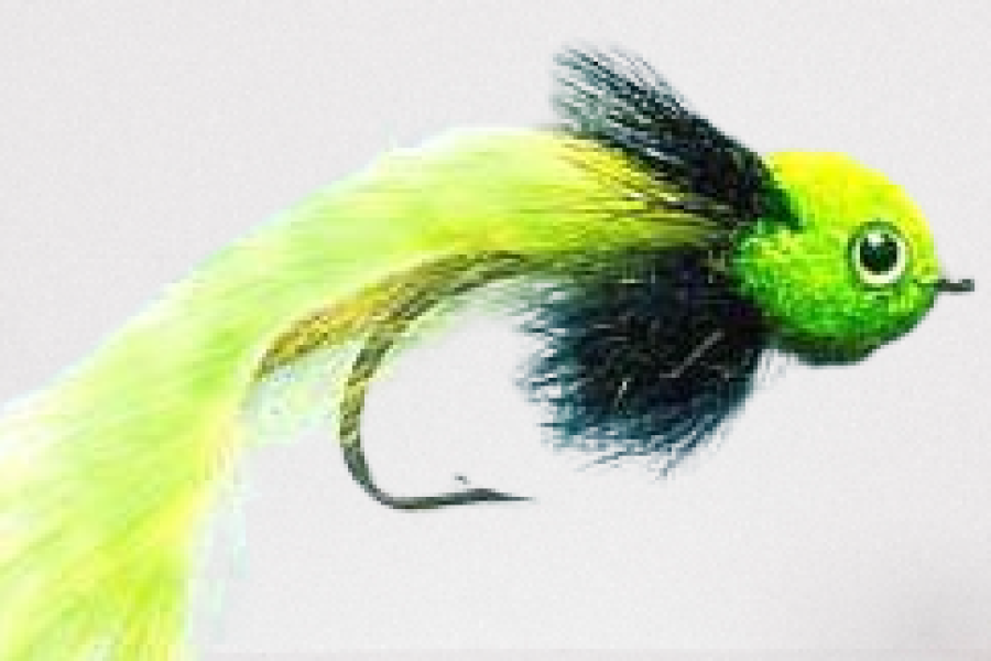 Widower Chartreuse bass Fly