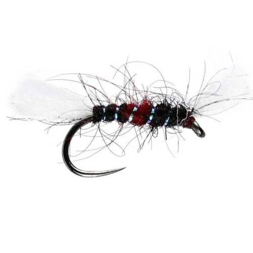 Bibio Shipmans Buzzer Dry Fishing fly pattern