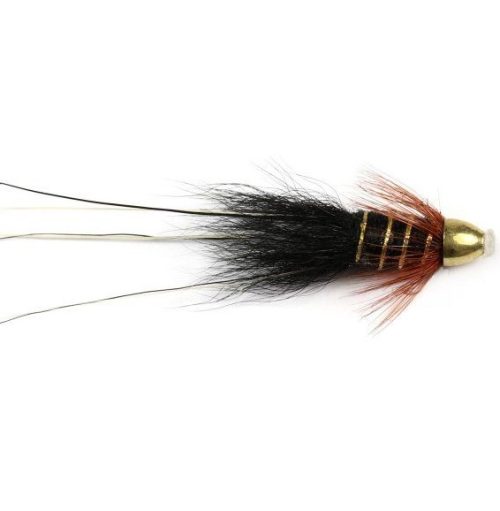 Black Francis Mini Conehead fly