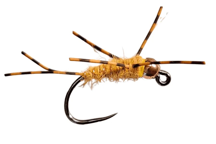 Dirty Hipster Golden Stone Fly nymph