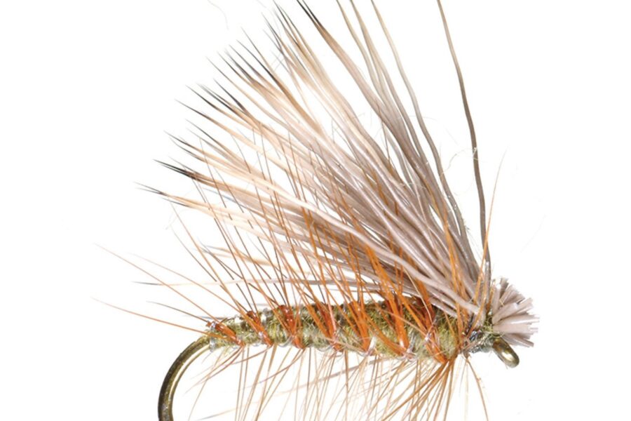 Elk Hair Caddis Fly