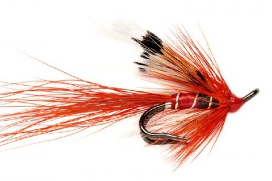 Fire Doctor Shrimp Double Salmon Fly