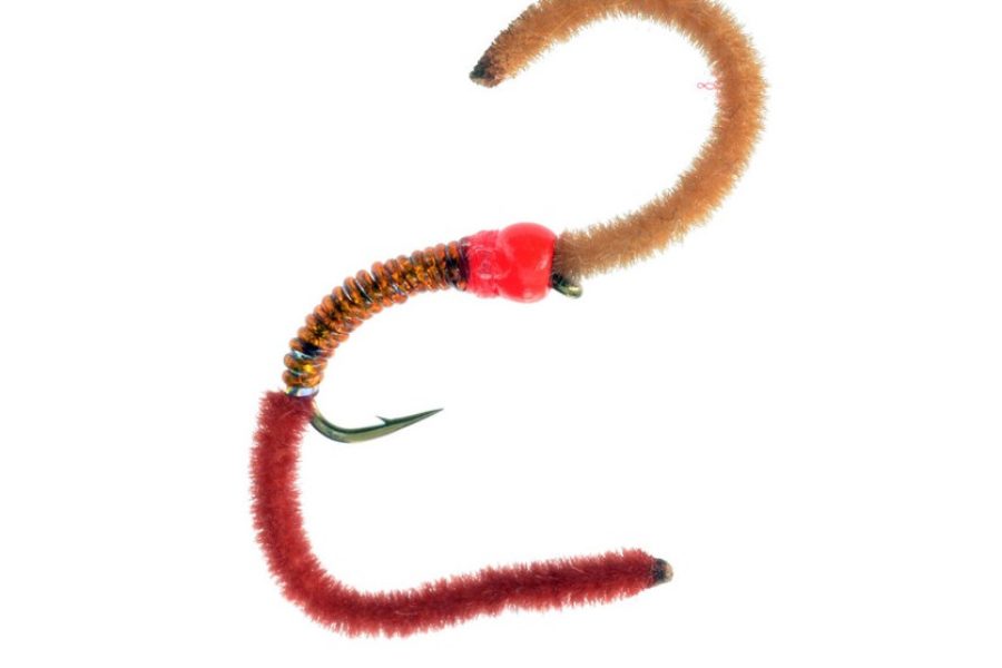 Firebead Sparkle Worm