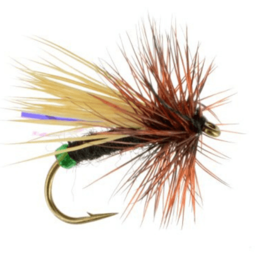 Grannom Caddis Fly