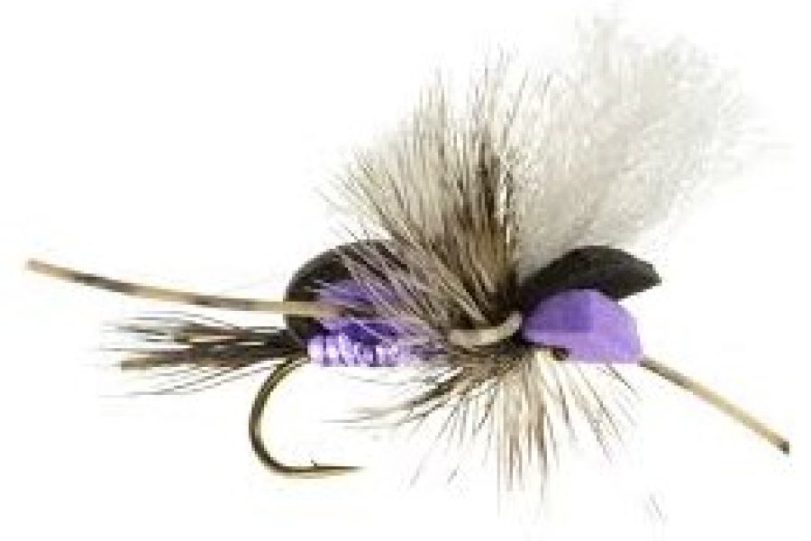 Hippie Stomper Dry Fly