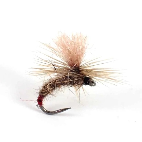 Infallible Klinkhammer Fishing fly