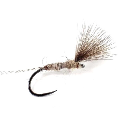 Upwing CdC Fishing fly pattern