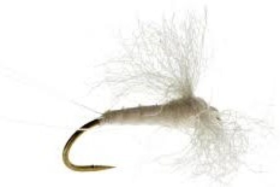 White Fly Spinner Dry Fly