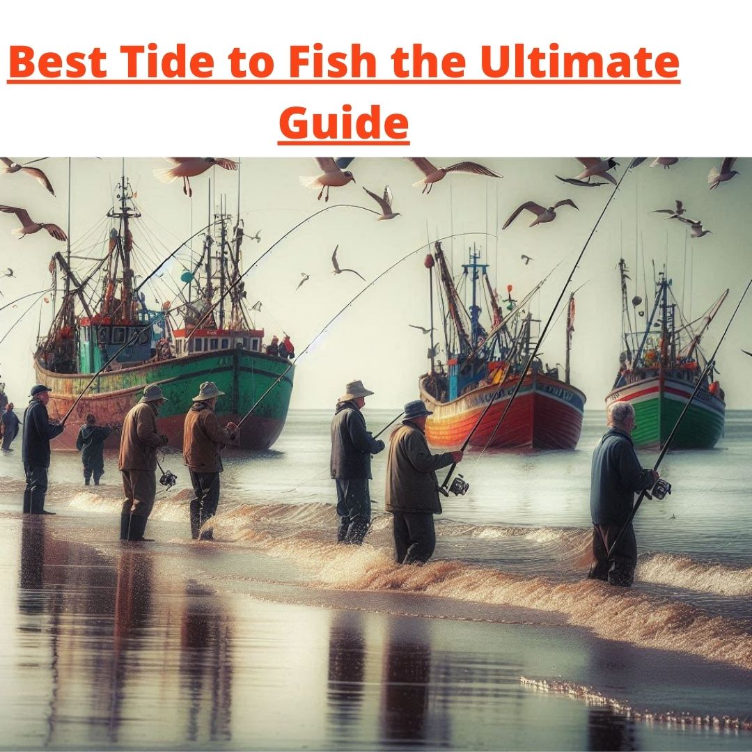 Best Tide to Fish the Ultimate Guide