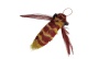 Da Dragonfly Teaser Wand Cat Toy Replacement Lure