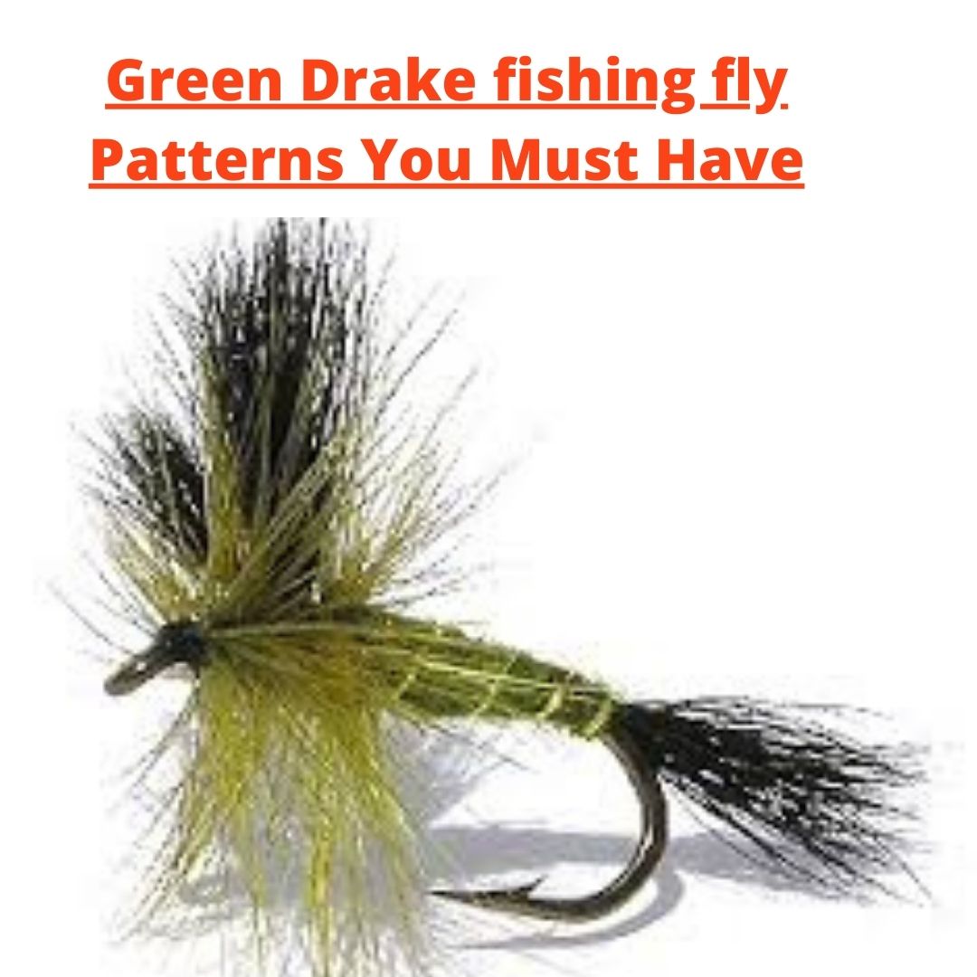 Green Drake fishing fly Patterns You Must Have