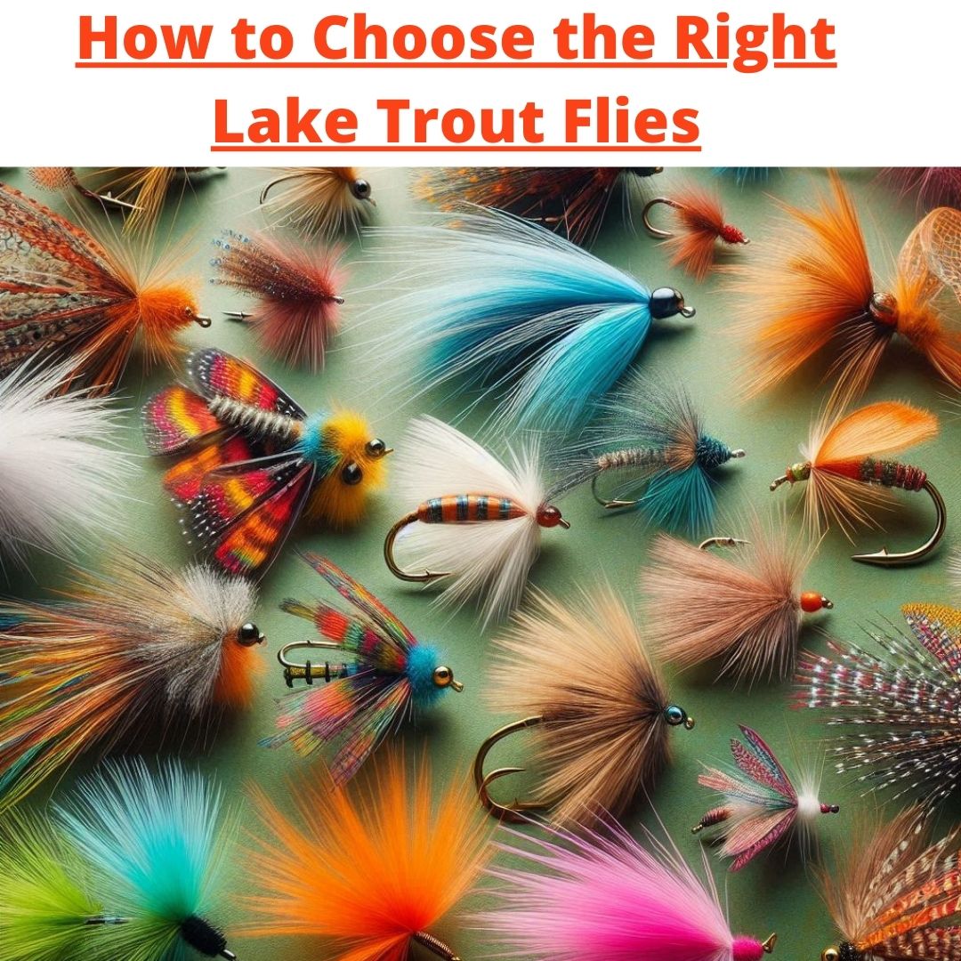 How to Choose the Right Lake Trout Flies