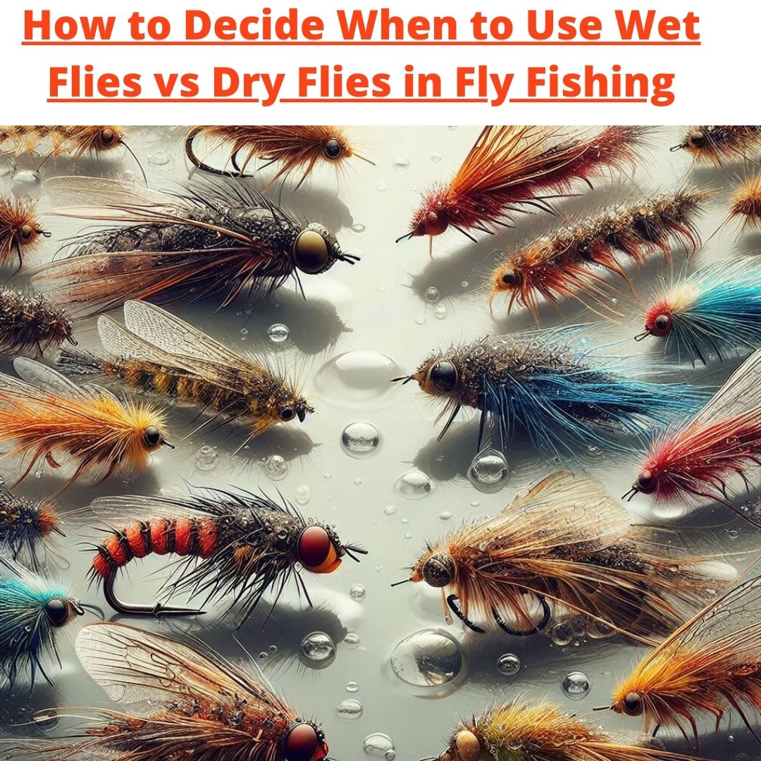 How to Decide When to Use Wet Flies vs Dry Flies in Fly Fishing