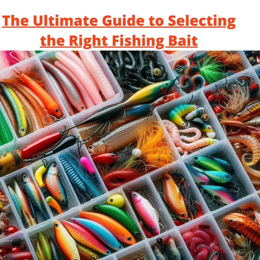 The Ultimate Guide to Selecting the Right Fishing Bait