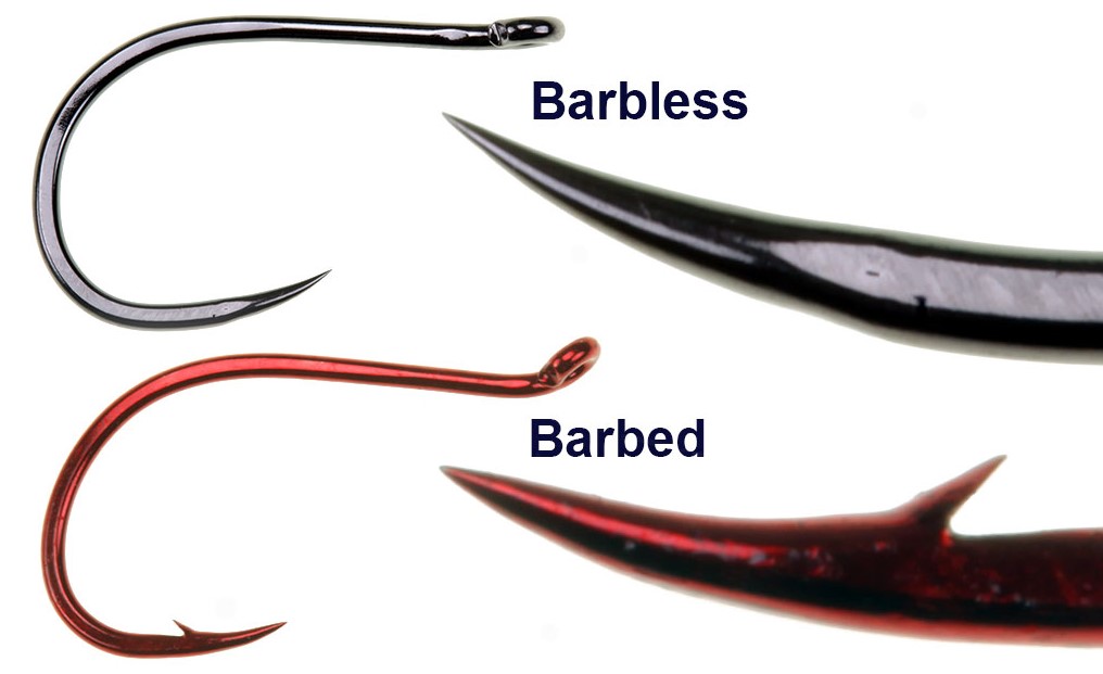 Which Hook should you choose between Barbless vs. Barbed Hooks