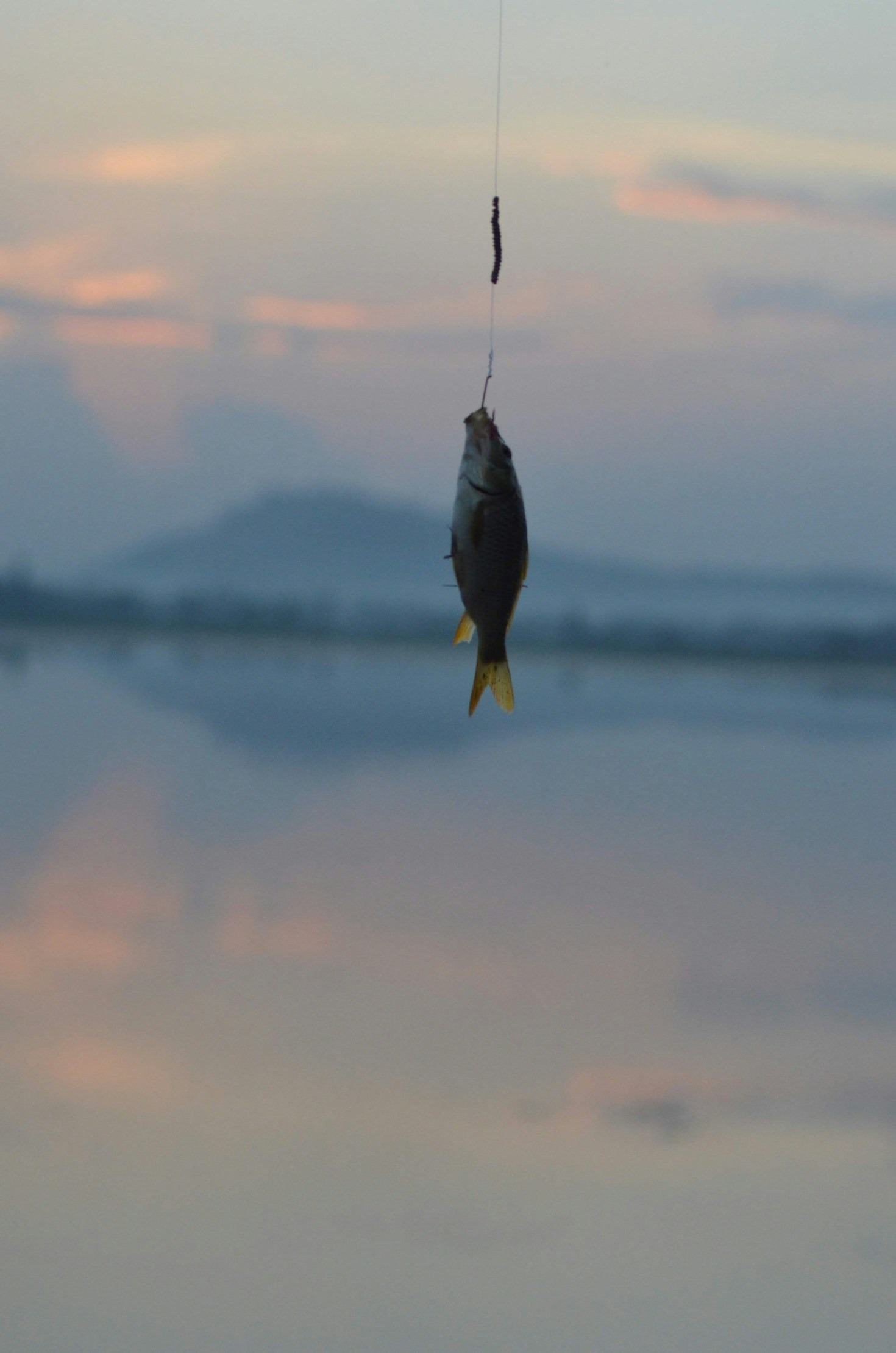 Top 5 Reasons to Use Hand-Tied Flies