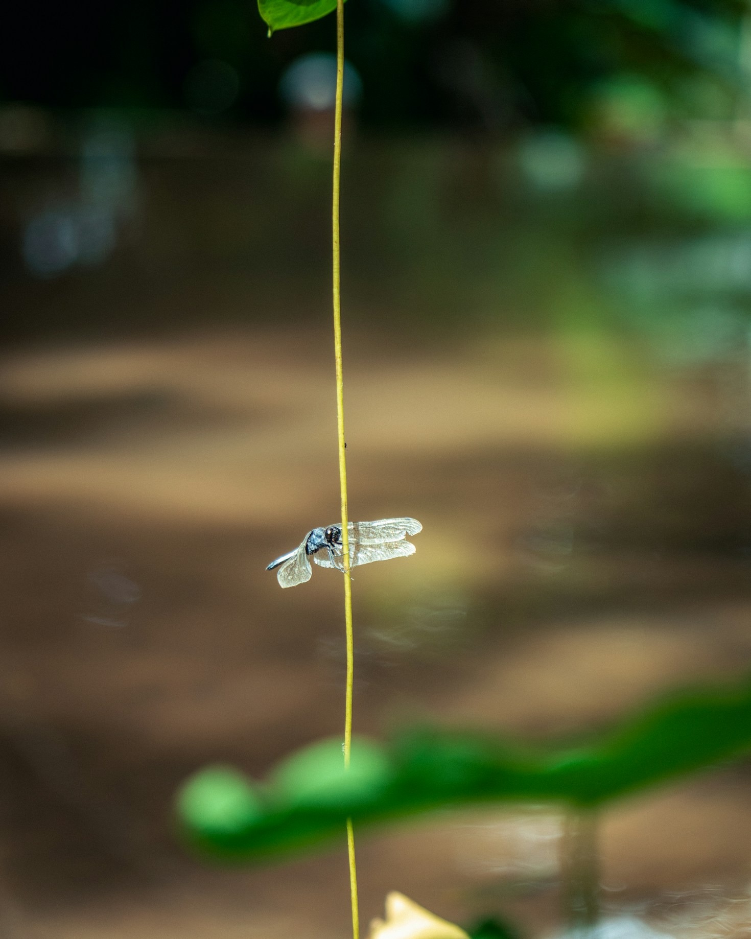 How Our Kenyan Flies Are Made with Precision