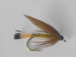 Cinnamon and gold wet fly