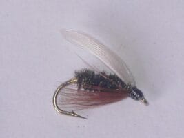 Coachman wet fly