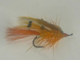 general practitioner salmon fly?