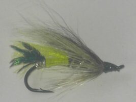 Jason's  salmon fly