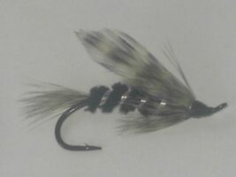 Silver Hilton fly